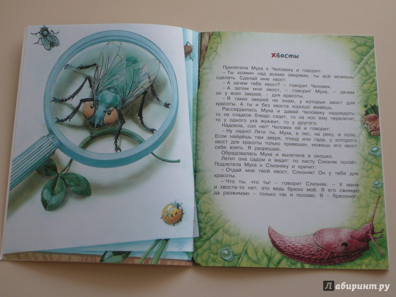 Иллюстрация 17 из 25 для Хвосты - Виталий Бианки | Лабиринт - книги. Источник: Кирюшина  Татьяна Ивановна