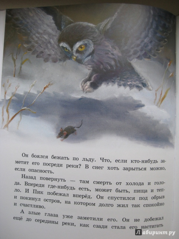 Иллюстрация 13 из 19 для Мышонок Пик - Виталий Бианки | Лабиринт - книги. Источник: Макарова  Елена