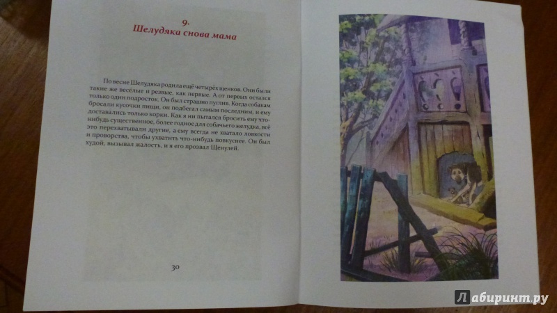 Иллюстрация 16 из 22 для Шелудяка - Евгений Колкотин | Лабиринт - книги. Источник: Bykovka