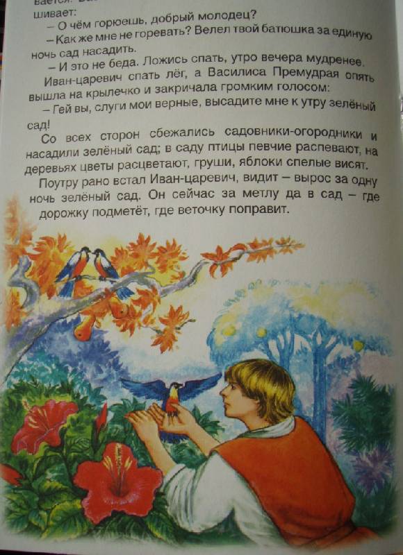 Иллюстрация 8 из 16 для Василиса Премудрая | Лабиринт - книги. Источник: Panty
