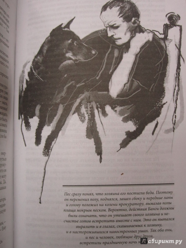 Иллюстрация 15 из 36 для Мастер и Маргарита - Михаил Булгаков | Лабиринт - книги. Источник: Елизовета Савинова