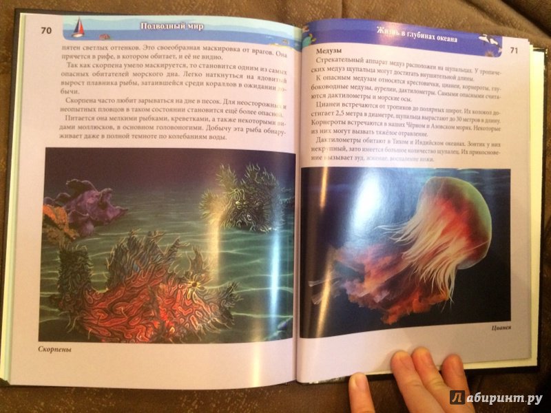 Иллюстрация 30 из 77 для Хочу знать. Подводный мир - Наталья Кульмина | Лабиринт - книги. Источник: Лабиринт