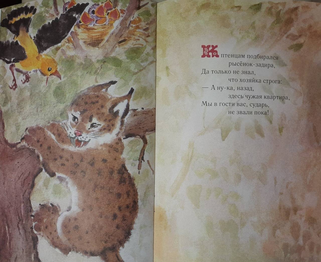 Иллюстрация 47 из 48 для Малышам о малышах. Стихи - Виктор Кожевников | Лабиринт - книги. Источник: Лабиринт