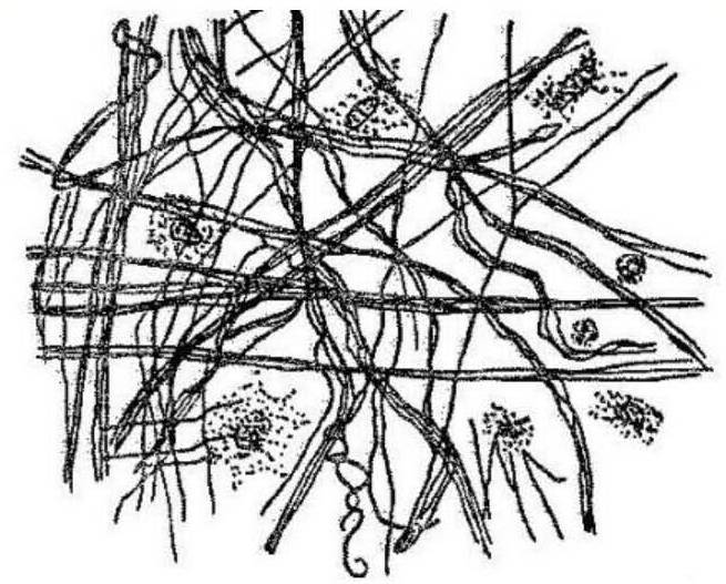 Иллюстрация 9 из 14 для Точка и линия на плоскости - Василий Кандинский | Лабиринт - книги. Источник: Ялина