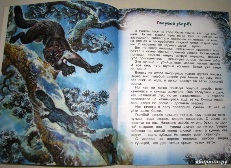 Иллюстрация 20 из 54 для Непонятный зверь - Виталий Бианки | Лабиринт - книги. Источник: Бог в помощь