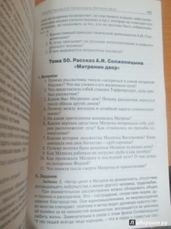 Иллюстрация 6 из 8 для Практикум по литературе. 9 класс - Ольга Черных | Лабиринт - книги. Источник: Толстова  Ксения