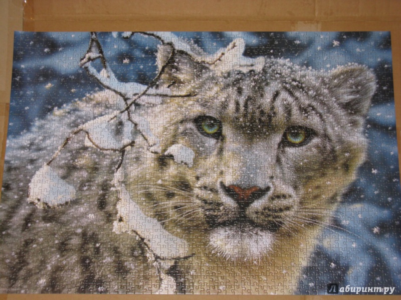 Иллюстрация 2 из 8 для Puzzle-1500. "Снежный леопард" (С-150823) | Лабиринт - игрушки. Источник: Скочилова  Елена
