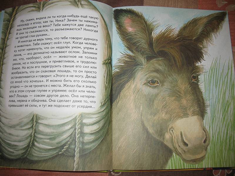 Иллюстрация 36 из 64 для Истории Кота-Мурлыки: сказки | Лабиринт - книги. Источник: Lublu!
