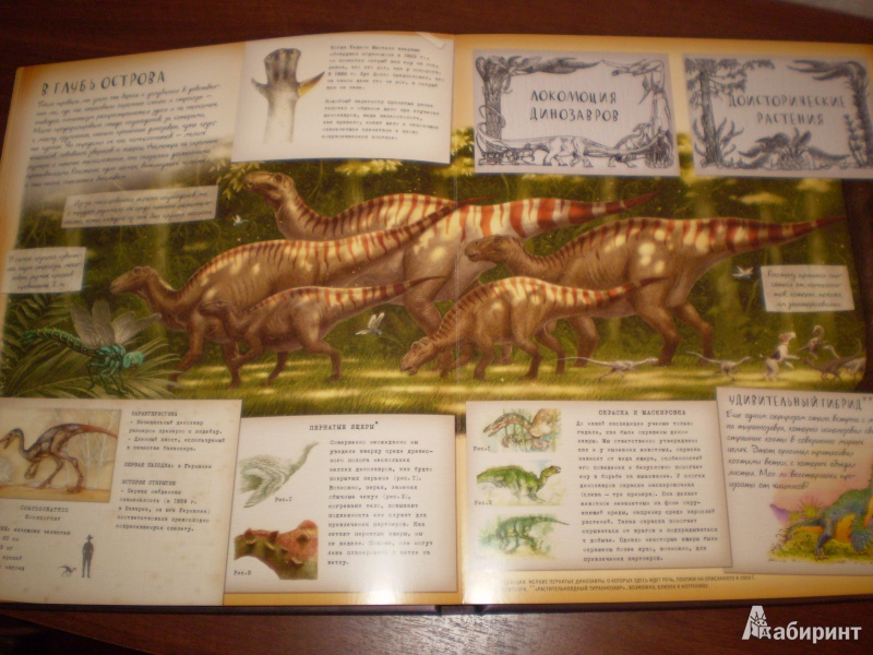 Иллюстрация 14 из 24 для Динозавроведение. Поиски затерянного мира | Лабиринт - книги. Источник: Sanananda