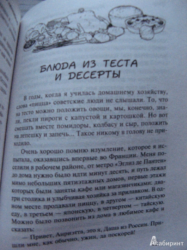 Иллюстрация 22 из 25 для Кулинарная книга лентяйки-3: Праздник по жизни - Дарья Донцова | Лабиринт - книги. Источник: Ольга