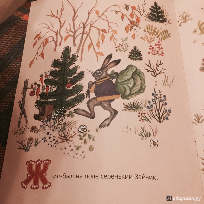 Иллюстрация 30 из 59 для Лиса и заяц | Лабиринт - книги. Источник: Босамыкина  Анна