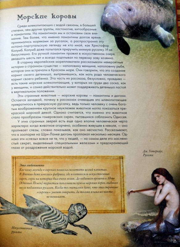 Иллюстрация 20 из 31 для Животные в мифологии - Андрей Гапченко | Лабиринт - книги. Источник: Ассоль
