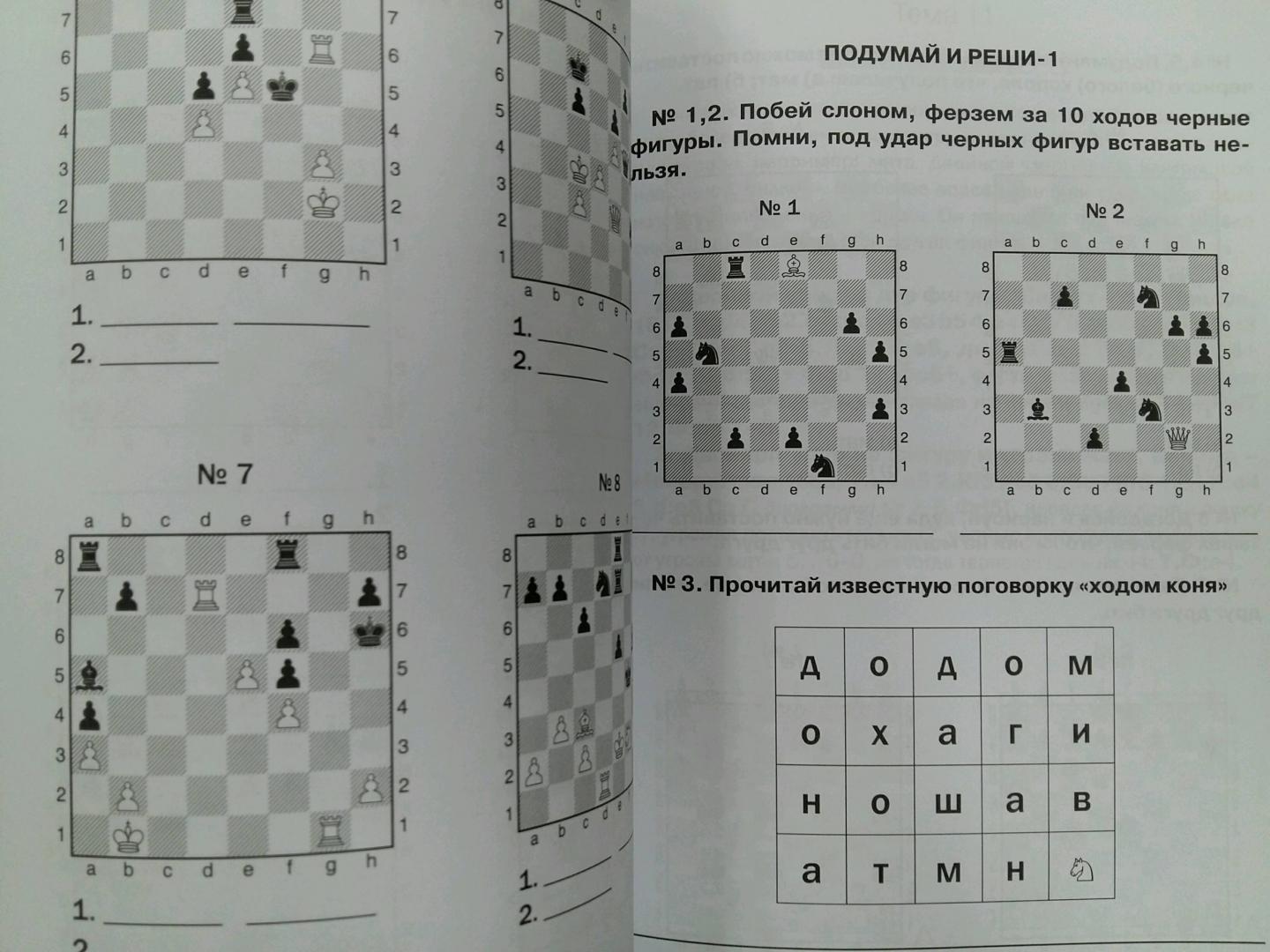 Иллюстрация 27 из 31 для Хочу учиться шахматам - 2! Второй год обучения - Анна Дорофеева | Лабиринт - книги. Источник: L  Elena