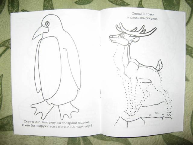 Иллюстрация 3 из 4 для Раскраски (зверята) | Лабиринт - книги. Источник: libe