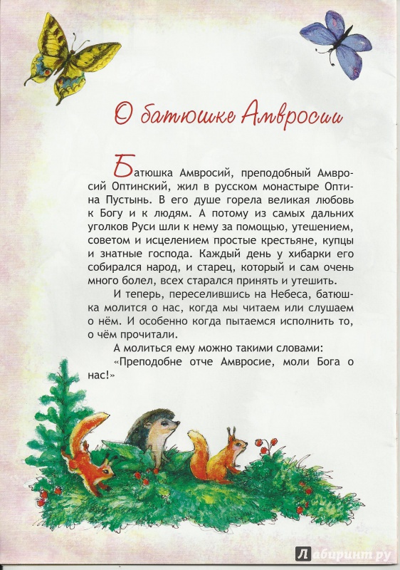 Иллюстрация 4 из 31 для В гости к батюшке Амвросию - Марина Алешина | Лабиринт - книги. Источник: todorik