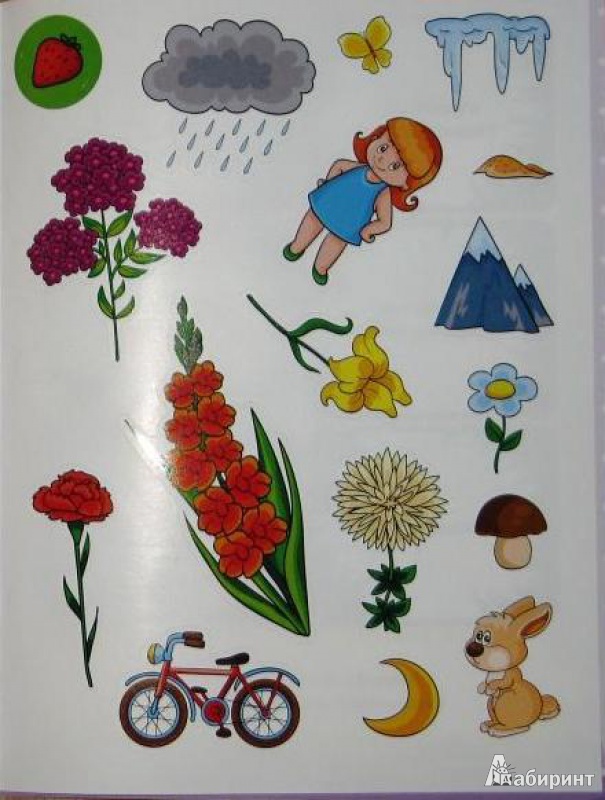 Иллюстрация 10 из 16 для Окружающий мир (природа). Маша и Медведь. 5-6 лет | Лабиринт - книги. Источник: СветланаС