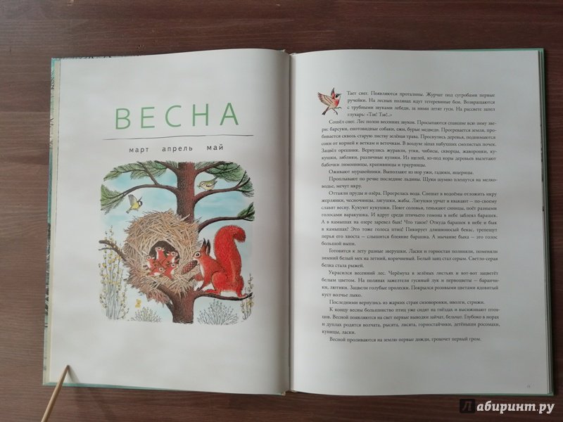Иллюстрация 73 из 109 для В лесу - Петр Багин | Лабиринт - книги. Источник: Гошева  Елена