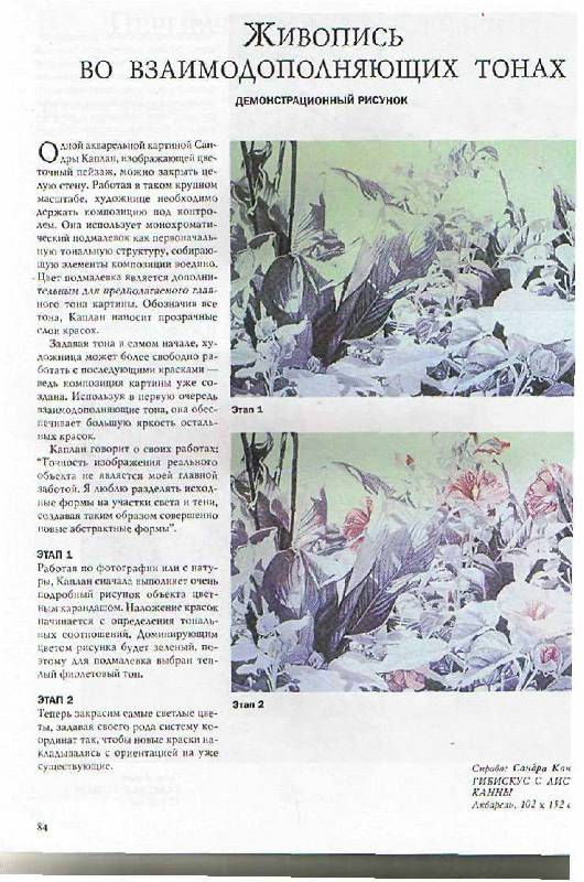 Иллюстрация 15 из 18 для Основы техники рисования цветов акварелью - Рейчел Вулф | Лабиринт - книги. Источник: Бирюза