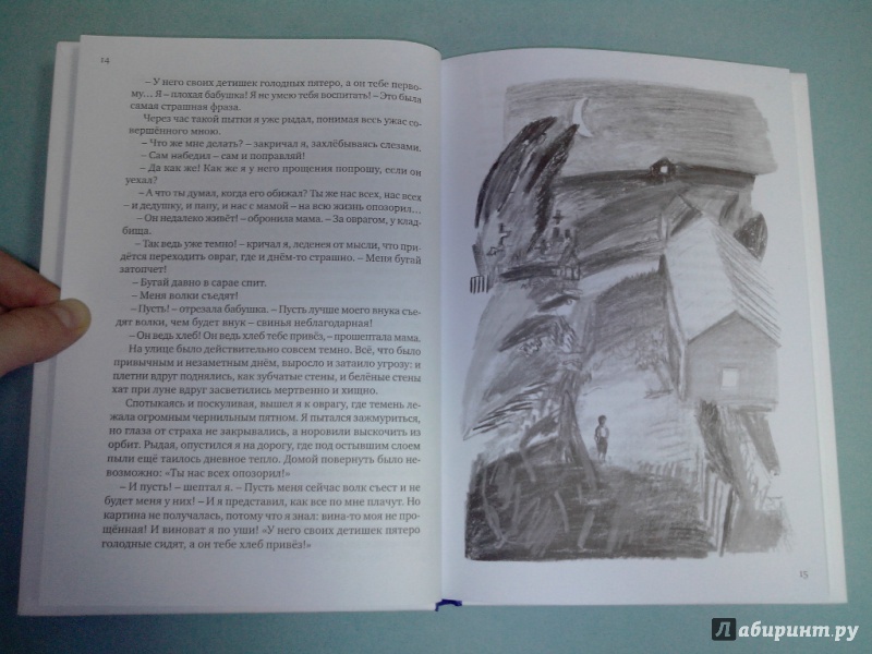Иллюстрация 15 из 22 для Самый красивый конь - Борис Алмазов | Лабиринт - книги. Источник: dbyyb