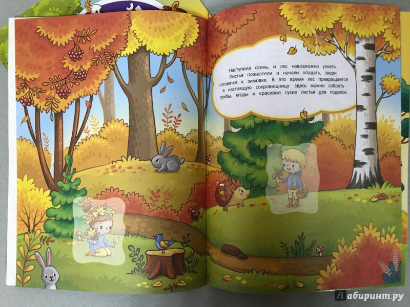 Иллюстрация 5 из 11 для Как живет лес. Книжка с наклейками | Лабиринт - книги. Источник: Оганесян  Сюзи