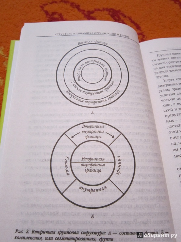 Иллюстрация 11 из 18 для Структура и динамика организаций и групп - Эрик Берн | Лабиринт - книги. Источник: OWN
