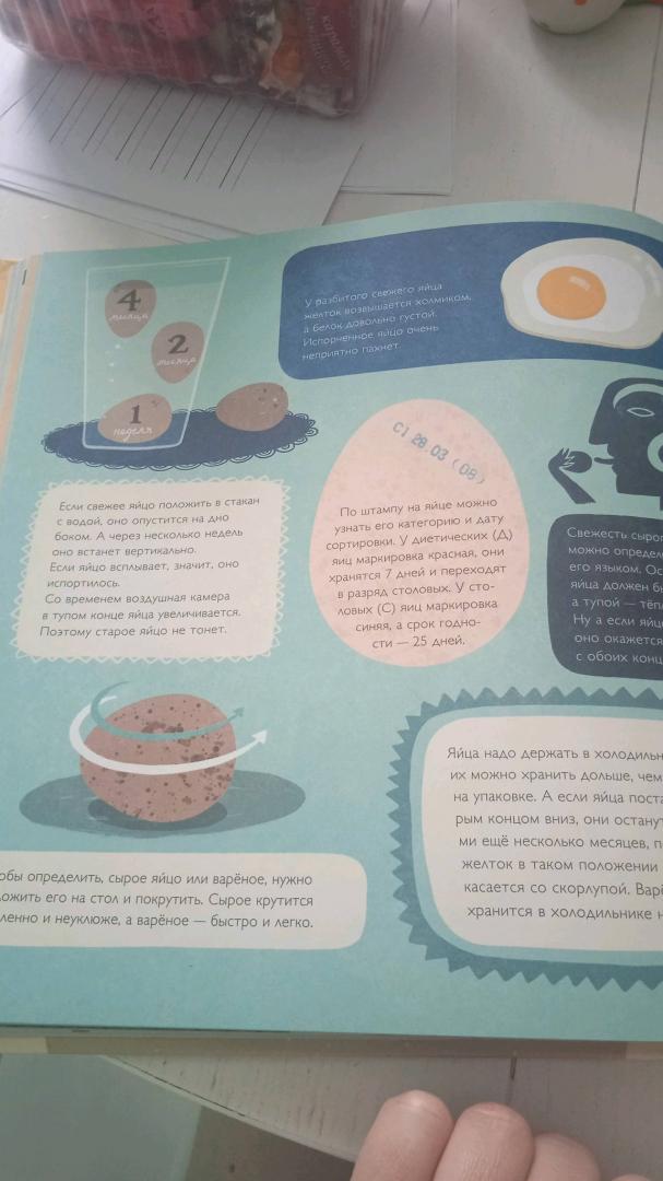 Иллюстрация 57 из 59 для Крутые факты о яйцах - Лена Шёберг | Лабиринт - книги. Источник: Черкасова Маргарита