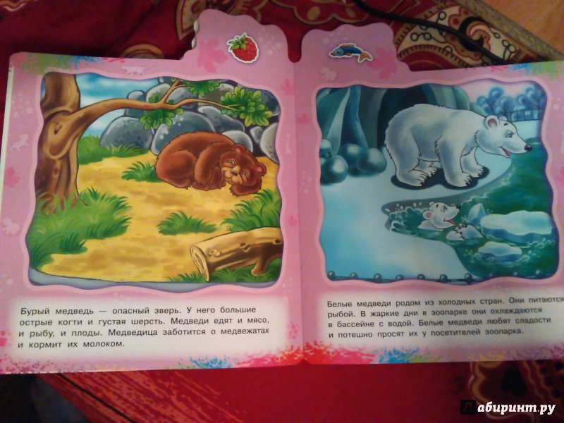Иллюстрация 7 из 11 для Идем в зоопарк | Лабиринт - книги. Источник: Ольга