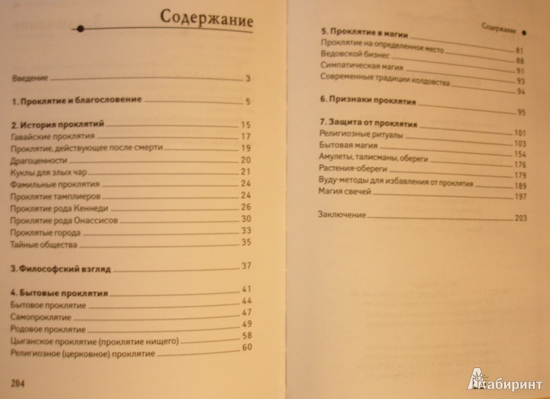 Иллюстрация 2 из 16 для Философия проклятия - Серафим Петров | Лабиринт - книги. Источник: Александр