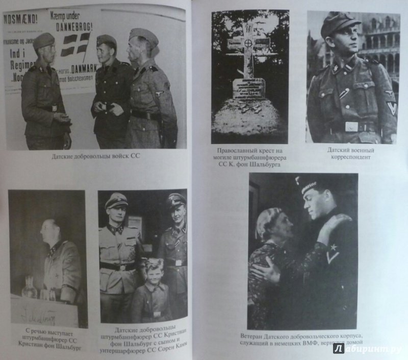 Иллюстрация 28 из 41 для Иностранные формирования Третьего рейха - Дробязко, Романько, Семенов | Лабиринт - книги. Источник: SiB