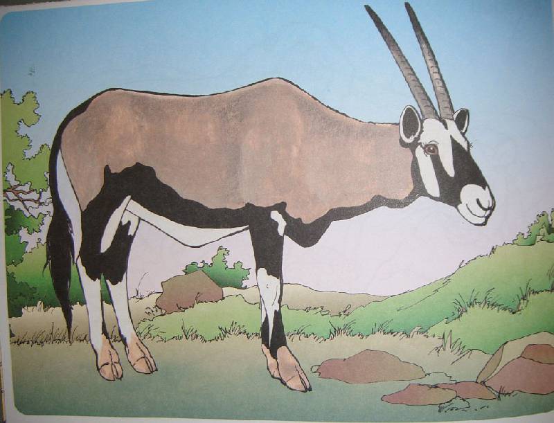 Иллюстрация 11 из 15 для Изучаем и раскрашиваем. Дикие животные. Африка | Лабиринт - книги. Источник: Iwolga