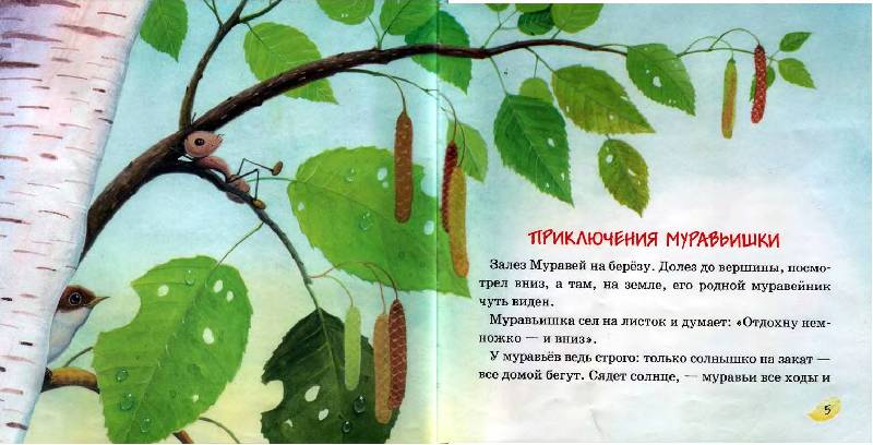 Иллюстрация 22 из 39 для В подарок малышу: Лесные сказки - Виталий Бианки | Лабиринт - книги. Источник: Лана