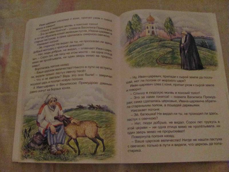 Иллюстрация 11 из 13 для Морской царь и Василиса Премудрая | Лабиринт - книги. Источник: SaDacO
