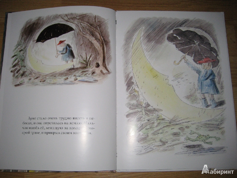 Иллюстрация 6 из 16 для Мальчик и луна - Леонид Тишков | Лабиринт - книги. Источник: Макарова  Елена