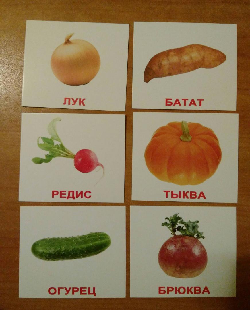 Иллюстрация 21 из 32 для Комплект карточек "Овощи с фактами" (40 карточек) | Лабиринт - игрушки. Источник: Цветкова  Ирина