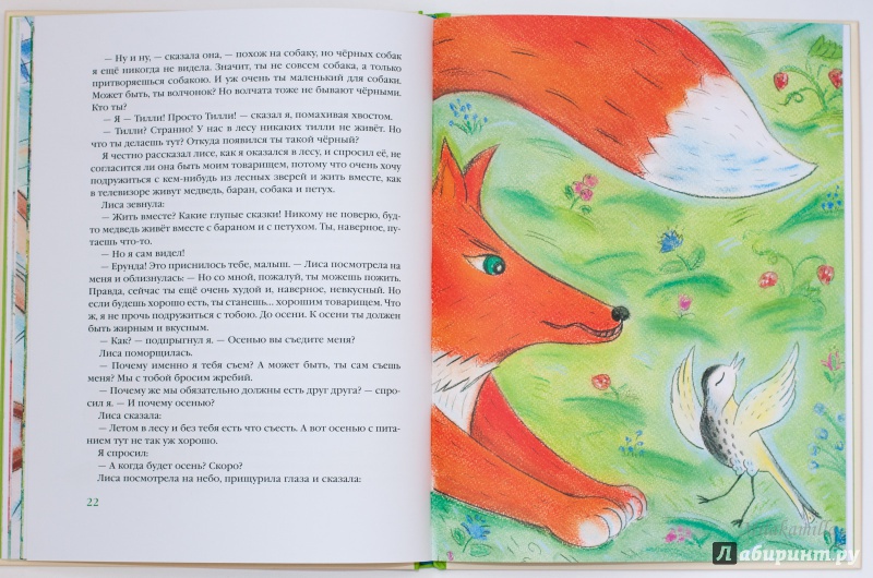 Иллюстрация 52 из 56 для Храбрый Тилли. Записки щенка, написанные хвостом - Ян Ларри | Лабиринт - книги. Источник: Букландия