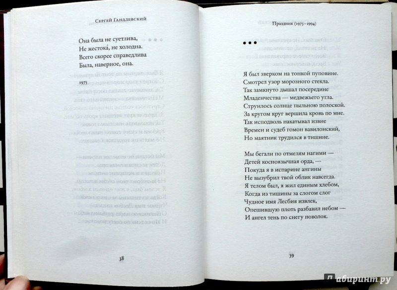 Иллюстрация 19 из 20 для Стихотворения - Сергей Гандлевский | Лабиринт - книги. Источник: fionna_cake