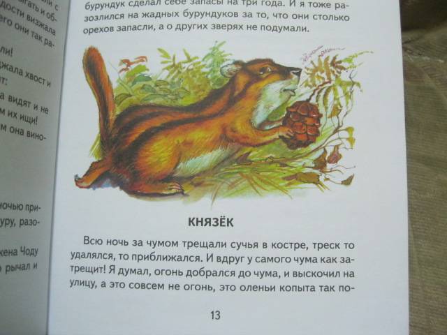 Иллюстрация 21 из 31 для Охотничьи истории - Геннадий Снегирев | Лабиринт - книги. Источник: NINANI