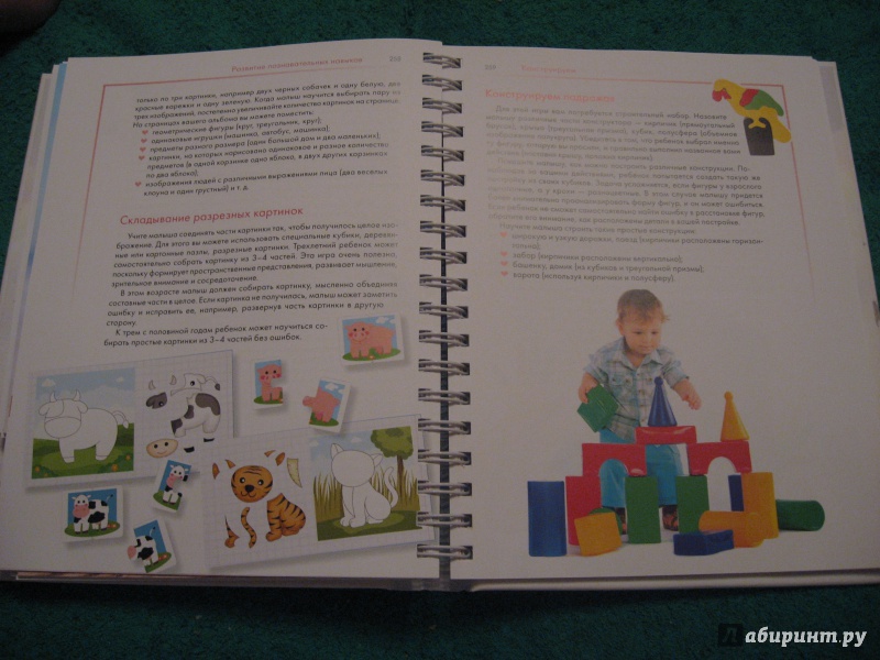 Иллюстрация 15 из 18 для Как вырастить умного ребенка - Олеся Жукова | Лабиринт - книги. Источник: Марина Епифанцева