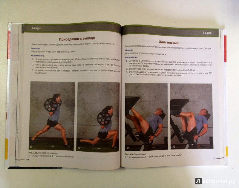 Иллюстрация 18 из 20 для Бодибилдинг. Силовые упражнения и планы тренировок - Рэй Клерк | Лабиринт - книги. Источник: Forlani