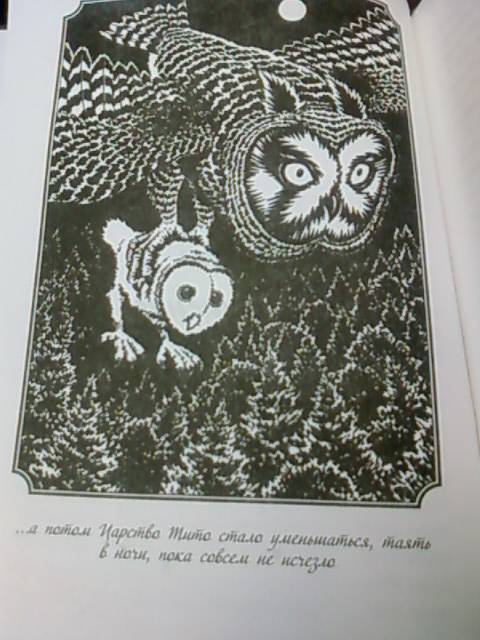 Иллюстрация 4 из 23 для Легенды ночных стражей - Кэтрин Ласки | Лабиринт - книги. Источник: lettrice