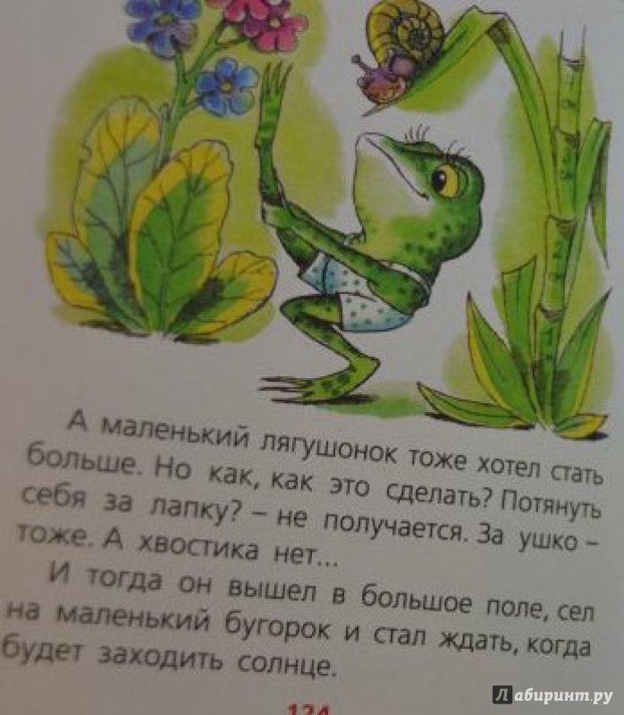 Иллюстрация 15 из 16 для Маленькие сказки - Геннадий Цыферов | Лабиринт - книги. Источник: Половинка  Юля