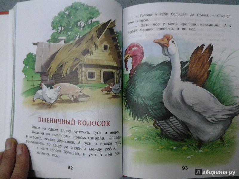 Иллюстрация 13 из 32 для В гостях у сказки | Лабиринт - книги. Источник: Olga