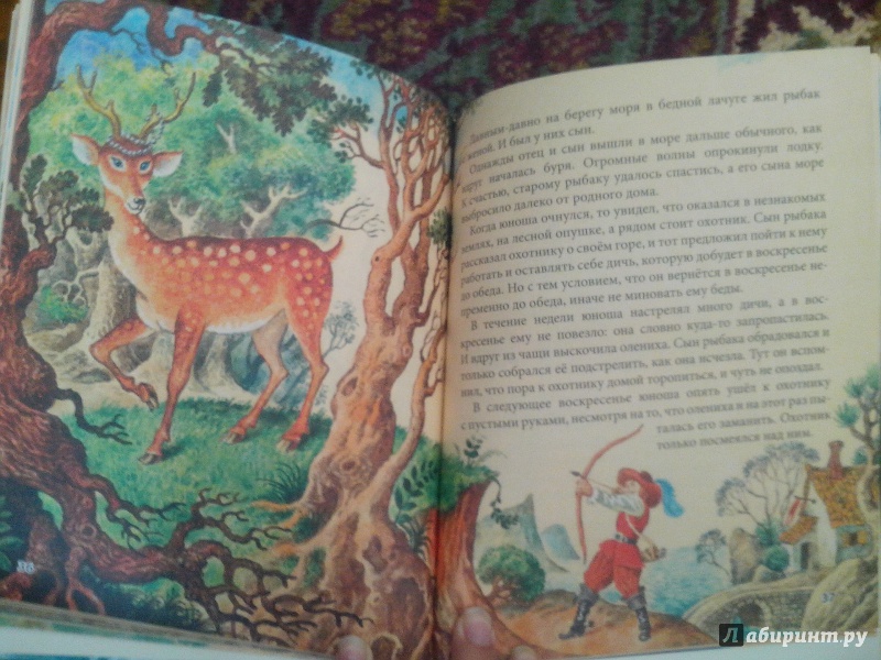 Иллюстрация 13 из 26 для Заморские сказки | Лабиринт - книги. Источник: Половинка  Юля