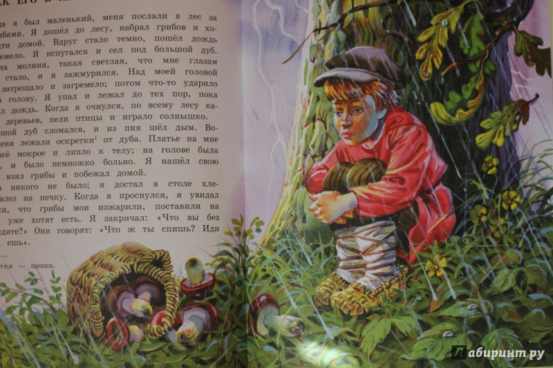 Иллюстрация 25 из 56 для Рассказы и сказки для детей - Лев Толстой | Лабиринт - книги. Источник: Ирруся