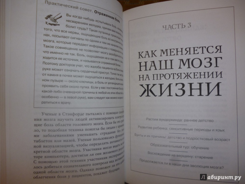 Иллюстрация 19 из 40 для Тайны нашего мозга, или Почему умные люди делают глупости - Амодт, Вонг | Лабиринт - книги. Источник: Бабкин  Михаил Юрьевич