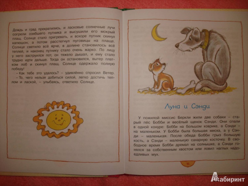 Иллюстрация 9 из 47 для Шоколадный кролик - Энид Блайтон | Лабиринт - книги. Источник: Сорокина  Лариса