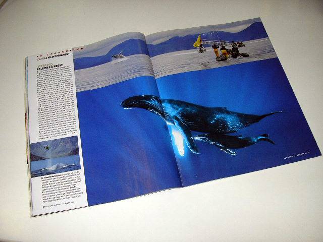 Иллюстрация 23 из 40 для Океаны (DVD+Blu-ray) - Перрен, Клюзо | Лабиринт - . Источник: Валерия