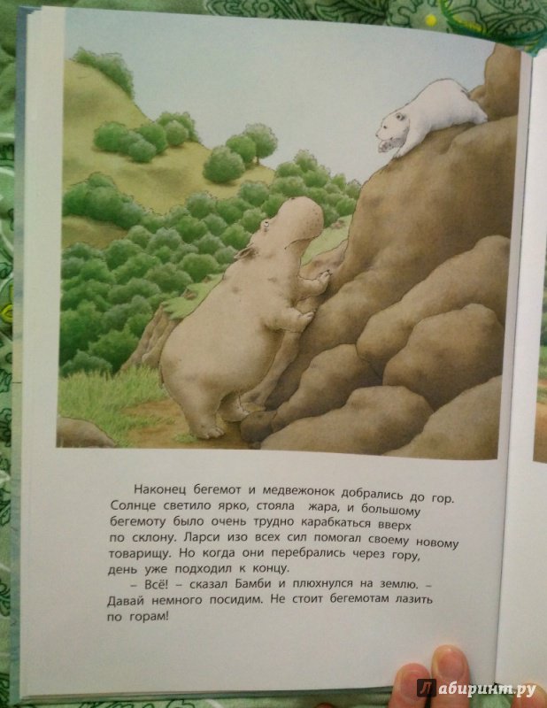 Иллюстрация 4 из 49 для Приключение белого медвежонка - Беер Де | Лабиринт - книги. Источник: полярная звезда