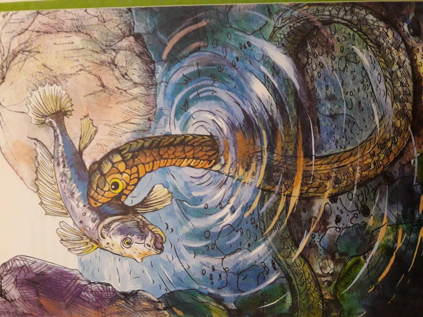 Иллюстрация 8 из 47 для Спасение лягушонка Райана - Дмитрий Ржанников | Лабиринт - книги. Источник: Olga