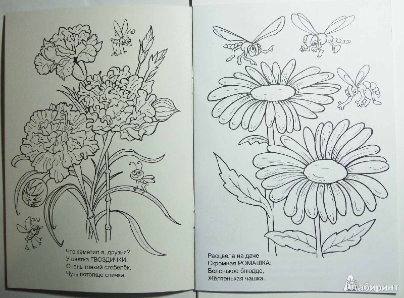 Иллюстрация 3 из 11 для Цветущий сад - Наталья Мигунова | Лабиринт - книги. Источник: Чучелова  Ольга Викторовна